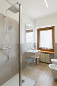 a bathroom with a shower and a toilet and a sink at Hotel Diana in Auronzo di Cadore
