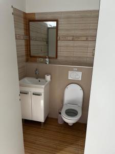 Koupelna v ubytování Apartmán Zahořánky