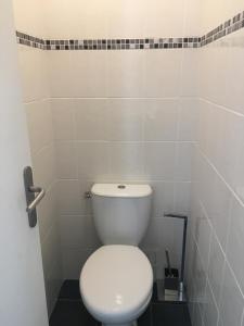 a bathroom with a white toilet in a room at Joli petit studio au bord du lac in Le Bourget-du-Lac