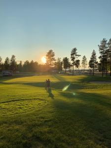 una persona che cavalca un cavallo in un campo al tramonto di Deluxe Apartment - Sea and Golf Paradise a Kalajoki