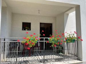 Gallery image of Planinska Ruza in Arandjelovac