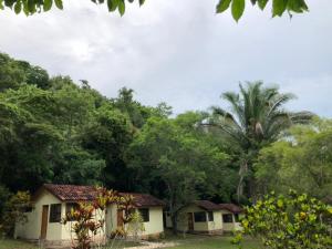 une rangée de maisons dans une forêt avec un palmier dans l'établissement Parque Natural Ixpanpajul, à Santa Elena