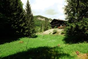 a house in the middle of a green field at Kunst- und Naturfreundehaus Brünig in Lungern