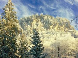 a snow covered mountain with trees in front of it at Kunst- und Naturfreundehaus Brünig in Lungern
