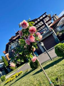 a bunch of pink flowers on a pole in the grass at Family Hotel Eterno in Tsigov Chark