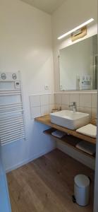 uma casa de banho com um lavatório e um espelho em Les Hauts de Grazac em Grazac