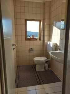 baño con aseo y lavabo y ventana en Ferienwohnung am Schwedenberg , Trimberg, en Elfershausen