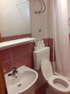 y baño con aseo blanco y lavamanos. en Apartments Vrisika-family apartment, en Makarska