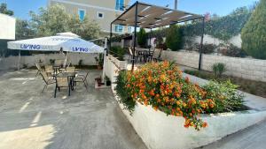 Zahrada ubytování Hotel Vila Ali