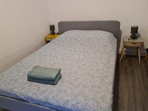 Beaugency-1 sur la route des Châteaux客房内的一张或多张床位
