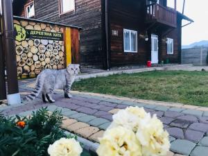 a cat standing in front of a house with flowers at садиба Дерев*яна Хата in Verkhovyna