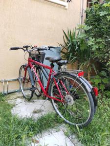 Attività di ciclismo presso l'appartamento o nelle vicinanze