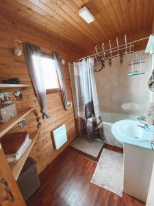 a bathroom with a sink and a shower in a cabin at Chalet cosy Ignaux - Ax les thermes in Ignaux