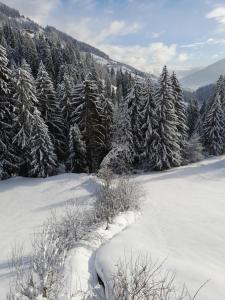 Ober-Gruberhof v zime