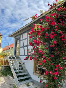 una casa con flores rojas a un lado. en Ferienwohnung Habelsee Verweilzeit - KEINE MONTEURE, en Ohrenbach