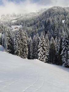 Ober-Gruberhof v zime