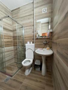 uma casa de banho com um WC, um lavatório e um chuveiro em Apartment Angelina em Skopje