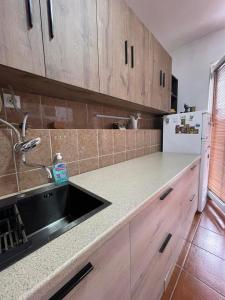 uma cozinha com um lavatório e uma bancada em Apartment Angelina em Skopje