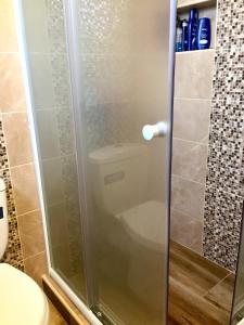 um chuveiro com WC na casa de banho em Villa Milka em Utjeha