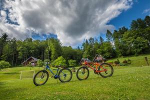 two bikes parked on the grass in a field at Leśny Zakątek in Bezmichowa Dolna