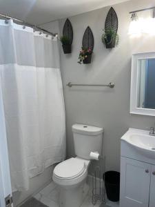 a white bathroom with a toilet and a sink at THE ROOFTOP OASIS in Philadelphia