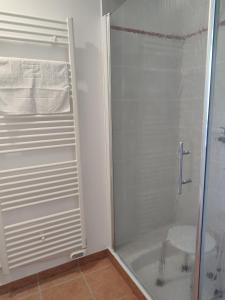 La salle de bains est pourvue d'une douche avec une porte en verre. dans l'établissement Gîte La Pâquerie, à Le Louroux-Béconnais