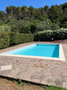 una pequeña piscina azul en un patio en Borgo cadelazzino, en Anzo