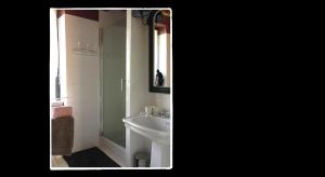 uma casa de banho com um lavatório e um chuveiro em Manoir de Livet em Saint-Germain-de-Livet