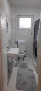 baño con aseo y lavabo y ventana en Ravne weekend house, en Visoko