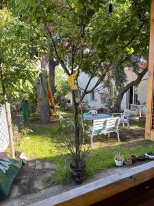 a tree in a yard with a bench and a table at Evak Chalet in Paleo Tsifliki