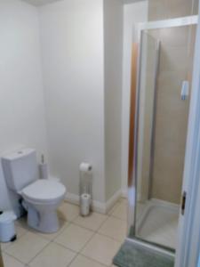 La salle de bains est pourvue de toilettes et d'une douche en verre. dans l'établissement Mournes Snug, à Newcastle