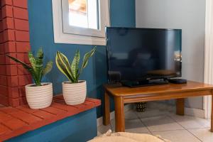 two potted plants sitting on a table next to a tv at Casa Francesca in Vrachati