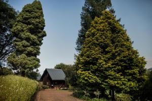 Gallery image of Viewpoint - Cabin 1 in Haenertsburg +27 photos