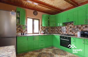 cocina verde con armarios verdes y nevera en ЗОЛОТА РИБКА, en Slavske