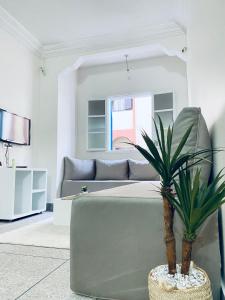 a living room with a couch and a plant at WELKAM Home & Coworking in Essaouira