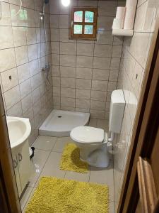 La salle de bains est pourvue de toilettes et d'un lavabo. dans l'établissement Forest Guest House 2, à Sîntimbru-Băi