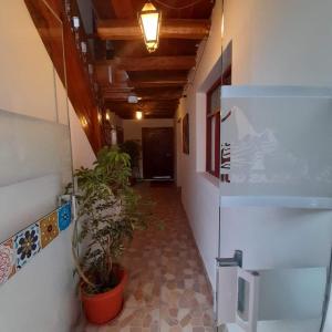 a hallway with a plant in a room at Hostel mágico San Blas in Cusco