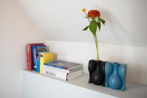 Knihovna v apartmánu