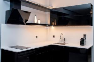 Kuchyň nebo kuchyňský kout v ubytování Luxury Premium Suite #1
