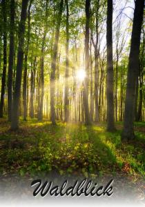 Paesaggio naturale nelle vicinanze dell'appartamento