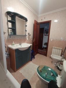 ein Badezimmer mit einem Waschbecken, einem WC und einem Spiegel in der Unterkunft Puente Villanueva dreans in Medina de Pomar