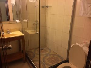 a bathroom with a shower and a toilet and a sink at Caye Caulker Plaza Hotel in Caye Caulker +19 photos