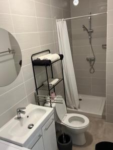 a bathroom with a toilet and a sink and a shower at Studio tout équipé à la nuitée ou plus,proche aéroport Bastia in Lucciana