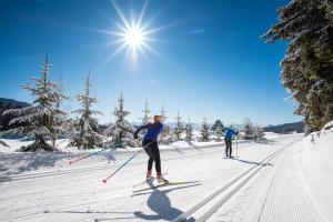 duas pessoas a esquiar na neve em Le Beau Site Grand Hotel - lovely heritage cocoon Aix-les-Bains central park em Aix-les-Bains