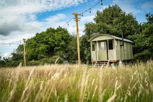 a small green building in a field of tall grass at Higher Farm in Malpas