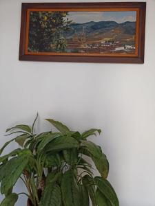 Eine Pflanze in einem Topf neben einem Gemälde an einer Wand in der Unterkunft La Casa de Mamá Tere in Zapatoca