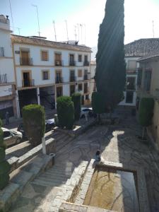 un edificio con árboles y una piscina de agua en un patio en Hotel Plateros, en Córdoba