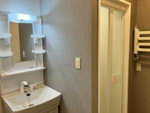 a bathroom with a sink and a mirror at Kotori Cottage in Hakuba +19 photos