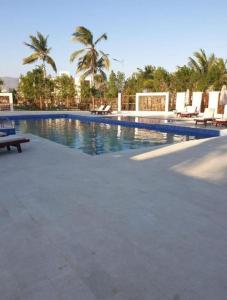 a large swimming pool with chairs and palm trees at Royal Hawana Apartment salalah in Salalah