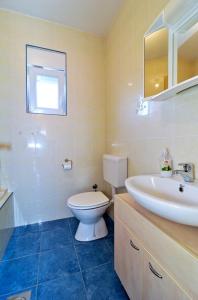 a bathroom with a white toilet and a sink at Paklina apartments in Starigrad-Paklenica